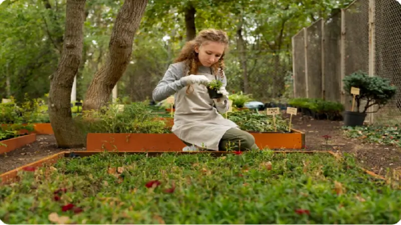 How Rolled Lawn Has Replaced the Old Way of Starting a Backyard From Scratch