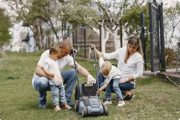 What Homeowners Should Know Before Installing Buffalo Grass Rolls